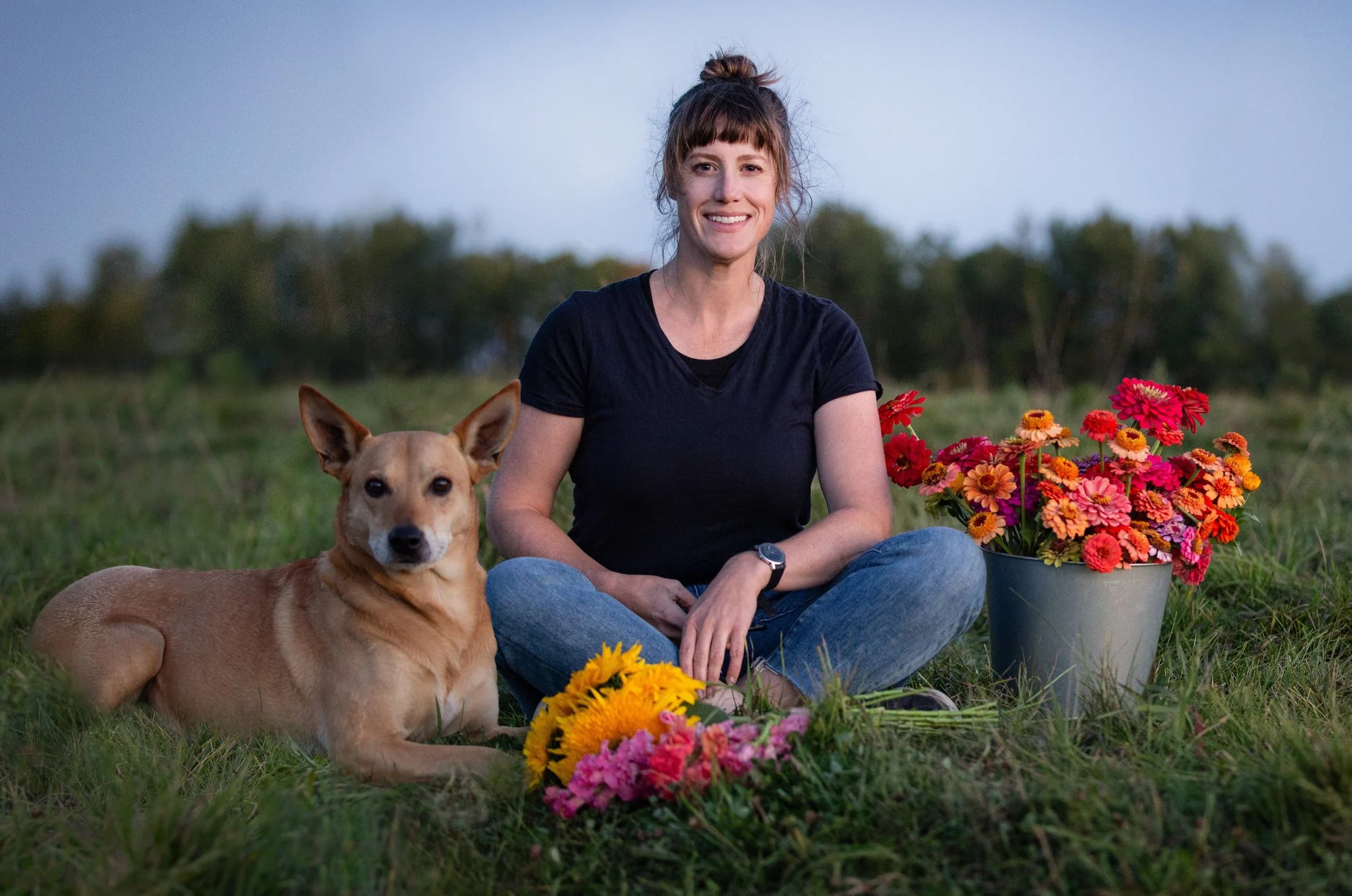 Colourful flowers growing at Bloomin' Dingo Farms