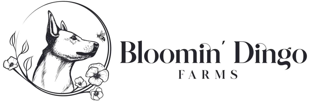 Bloomin' Dingo Farms
